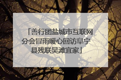 善行团盐城市互联网分会冒雨暖心回访阜宁县残联吴滩宜家