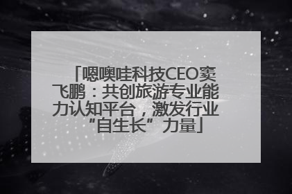 嗯噢哇科技CEO窦飞鹏：共创旅游专业能力认知平台，激发行业“自生长”力量