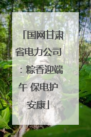 国网甘肃省电力公司：粽香迎端午 保电护安康