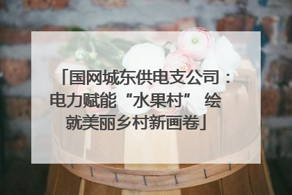 国网城东供电支公司：电力赋能“水果村” 绘就美丽乡村新画卷