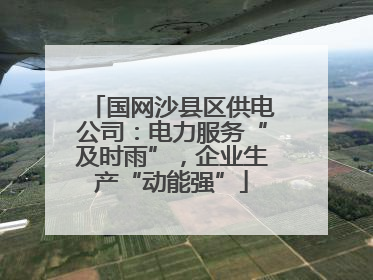 国网沙县区供电公司：电力服务“及时雨”，企业生产“动能强”