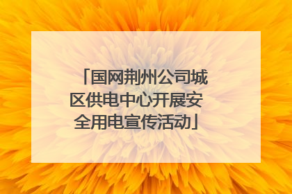 国网荆州公司城区供电中心开展安全用电宣传活动