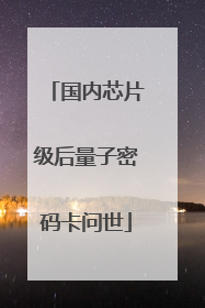 国内芯片级后量子密码卡问世