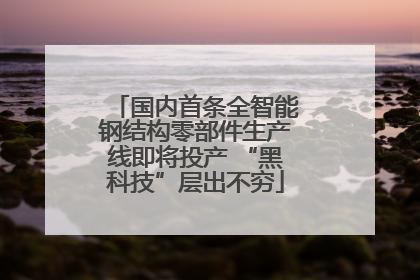 国内首条全智能钢结构零部件生产线即将投产 “黑科技”层出不穷