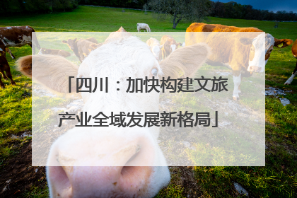 四川：加快构建文旅产业全域发展新格局