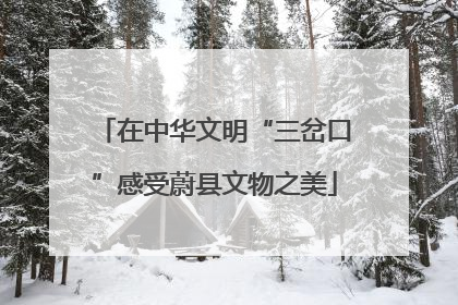 在中华文明“三岔口”感受蔚县文物之美