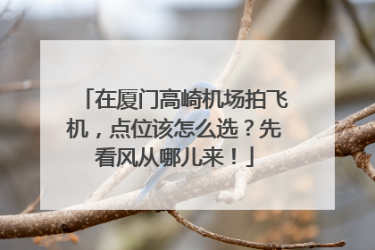 在厦门高崎机场拍飞机，点位该怎么选？先看风从哪儿来！