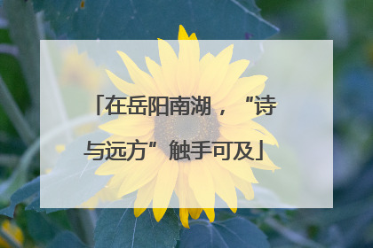在岳阳南湖，“诗与远方”触手可及