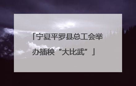 宁夏平罗县总工会举办插秧“大比武”