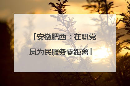 安徽肥西：在职党员为民服务零距离