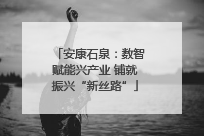 安康石泉：数智赋能兴产业 铺就振兴“新丝路”