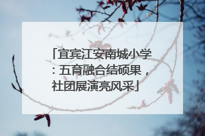 宜宾江安南城小学：五育融合结硕果，社团展演亮风采