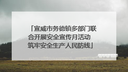 宣威市务德镇多部门联合开展安全宣传月活动 筑牢安全生产人民防线