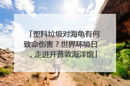 塑料垃圾对海龟有何致命伤害？世界环境日，走进开普敦海洋馆