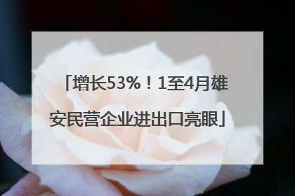 增长53%!1至4月雄安民营企业进出口亮眼