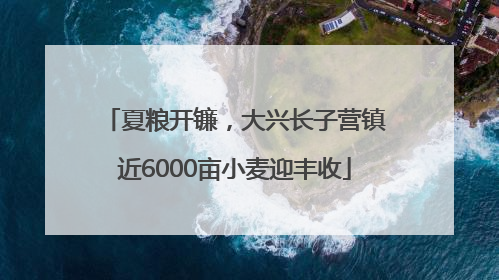 夏粮开镰，大兴长子营镇近6000亩小麦迎丰收