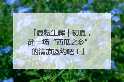 夏耘生辉｜初夏，赴一场“西瓜之乡”的清凉邀约吧！
