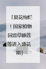 夏花绚烂！国家植物园萱草睡莲等进入盛花期
