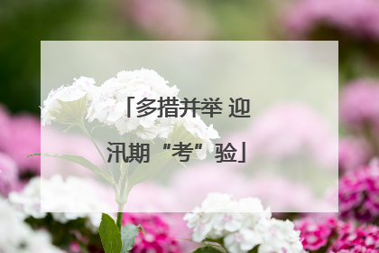 多措并举 迎汛期“考”验