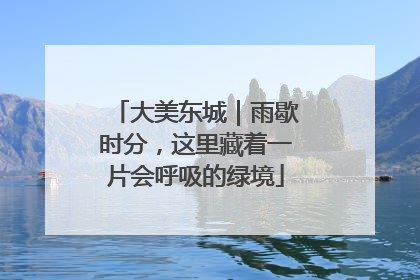 大美东城｜雨歇时分，这里藏着一片会呼吸的绿境
