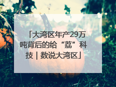 大湾区年产29万吨背后的给“荔”科技｜数说大湾区