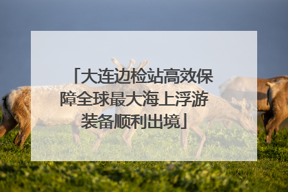 大连边检站高效保障全球最大海上浮游装备顺利出境