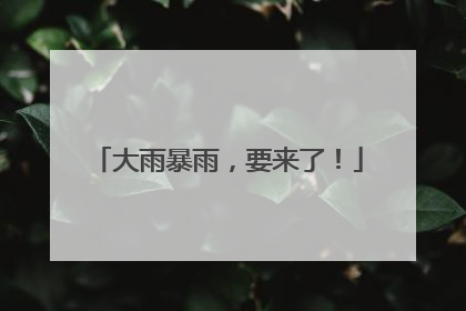大雨暴雨，要来了！