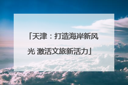 天津：打造海岸新风光 激活文旅新活力