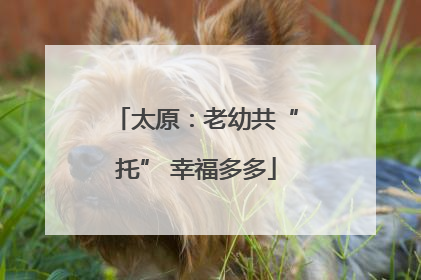 太原：老幼共“托” 幸福多多