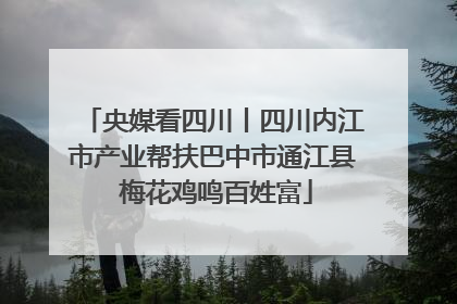 央媒看四川丨四川内江市产业帮扶巴中市通江县 梅花鸡鸣百姓富