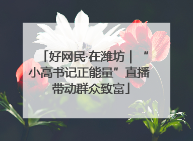 好网民·在潍坊｜“小高书记正能量”直播 带动群众致富