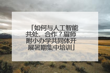 如何与人工智能共处、合作？眉师附小办学共同体开展暑期集中培训