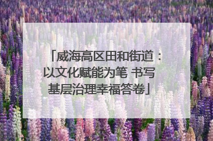 威海高区田和街道:以文化赋能为笔 书写基层治理幸福答卷