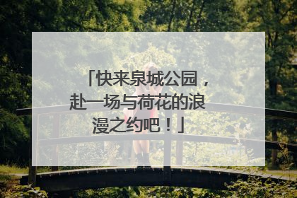 快来泉城公园，赴一场与荷花的浪漫之约吧！