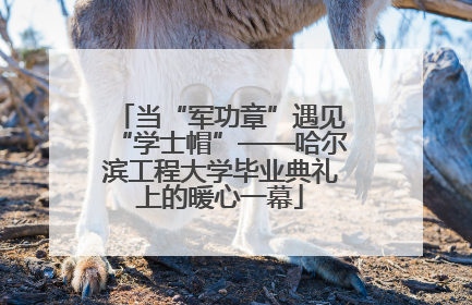 当“军功章”遇见“学士帽”——哈尔滨工程大学毕业典礼上的暖心一幕