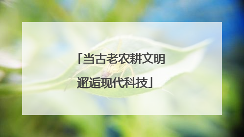 当古老农耕文明邂逅现代科技