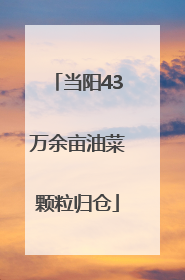 当阳43万余亩油菜颗粒归仓