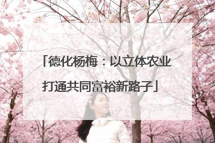 德化杨梅：以立体农业打通共同富裕新路子
