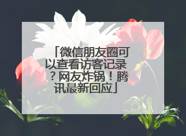微信朋友圈可以查看访客记录？网友炸锅！腾讯最新回应