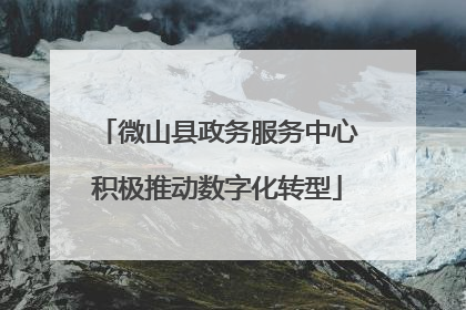 微山县政务服务中心积极推动数字化转型
