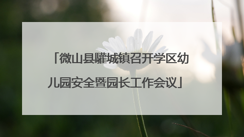 微山县驩城镇召开学区幼儿园安全暨园长工作会议
