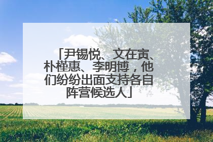 尹锡悦、文在寅、朴槿惠、李明博，他们纷纷出面支持各自阵营候选人