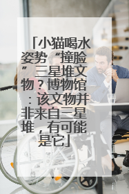 小猫喝水姿势“撞脸”三星堆文物？博物馆：该文物并非来自三星堆，有可能是它