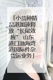 小货种精品港加速释放“长尾效应” 山东港口渤海湾港国际件杂货运业务