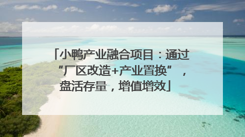 小鸭产业融合项目：通过“厂区改造+产业置换”，盘活存量，增值增效