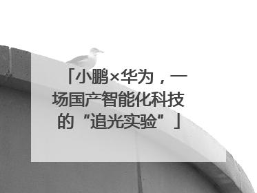 小鹏×华为，一场国产智能化科技的“追光实验”