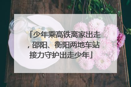 少年乘高铁离家出走，邵阳、衡阳两地车站接力守护出走少年