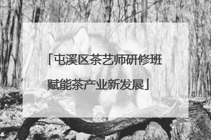 屯溪区茶艺师研修班赋能茶产业新发展