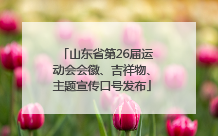 山东省第26届运动会会徽、吉祥物、主题宣传口号发布
