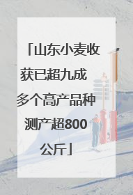 山东小麦收获已超九成 多个高产品种测产超800公斤